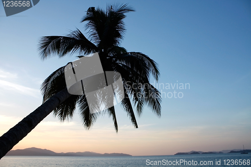 Image of Exotic sunset