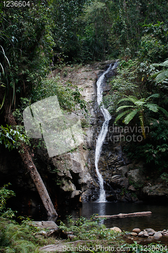 Image of Waterfall