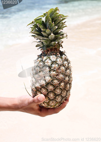 Image of Pineapple