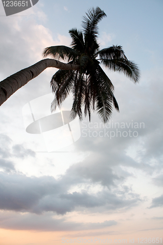 Image of Sunset