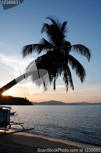 Image of Exotic sunset