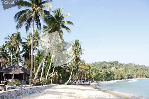 Image of Beach