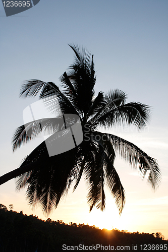 Image of Exotic sunset