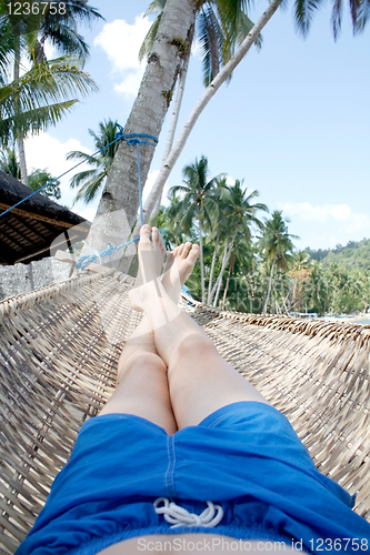 Image of Hammock