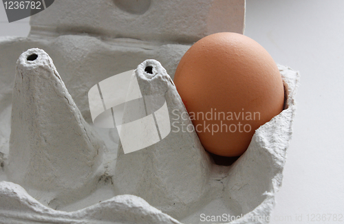 Image of Egg