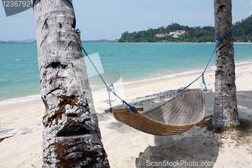 Image of Hammock