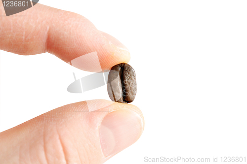 Image of Coffee bean