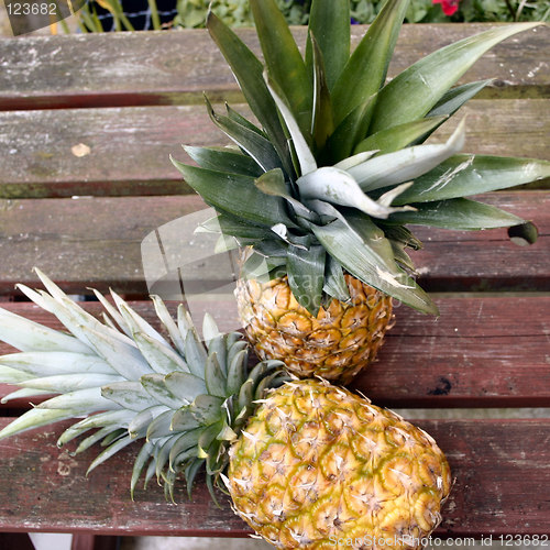 Image of two fresh pineapples