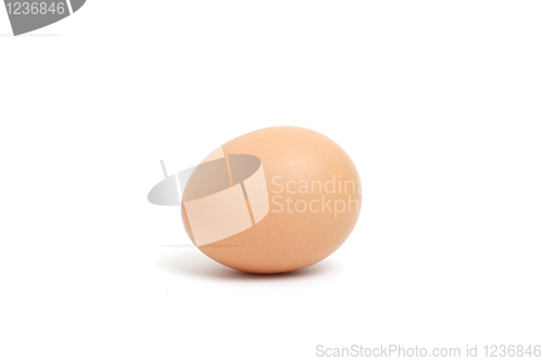 Image of Egg