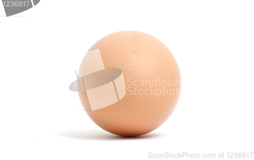 Image of Egg