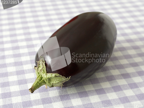 Image of Aubergine