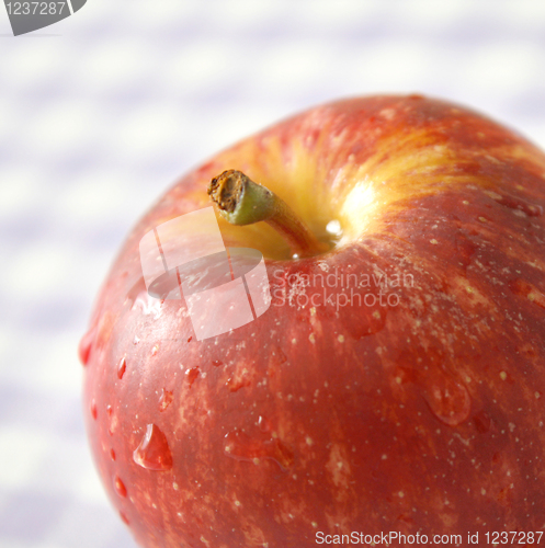 Image of Apple