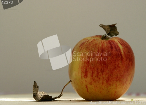 Image of Apple