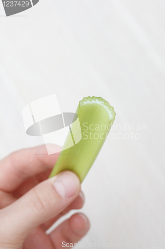 Image of Celery stick