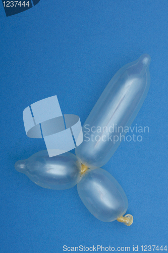 Image of Balloon penis 