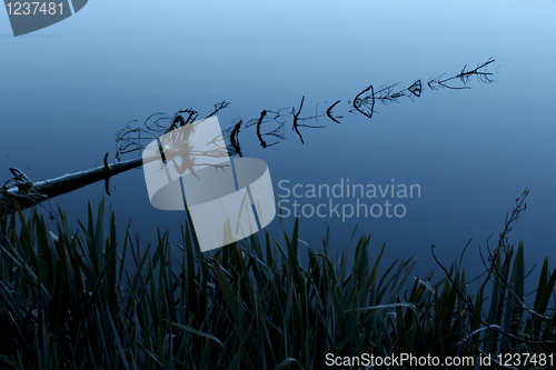 Image of Reflection in Lake Matheson