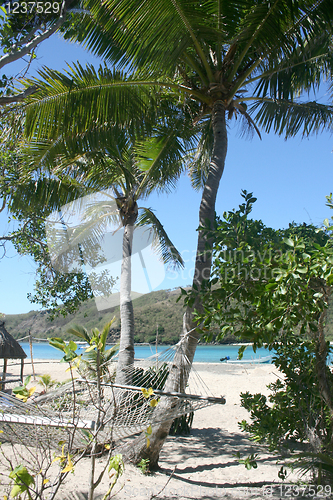 Image of Hammock on beach