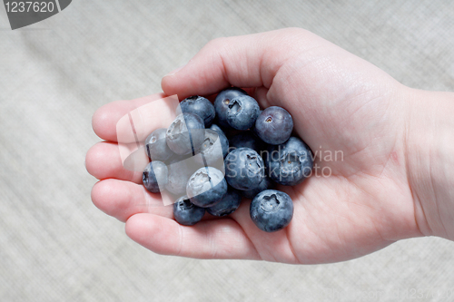 Image of Handful of blueberries