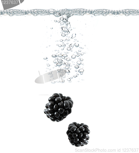 Image of Blackberries