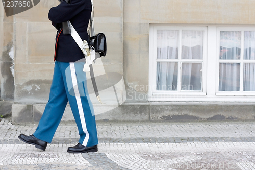 Image of Royal Danish Guard