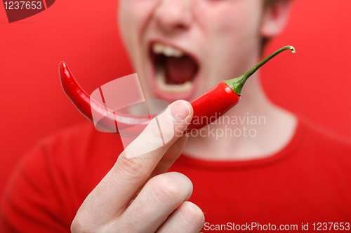 Image of Eating chili pepper
