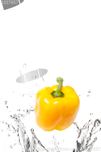 Image of Fresh yellow bell pepper