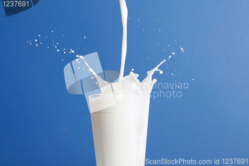 Image of Milk