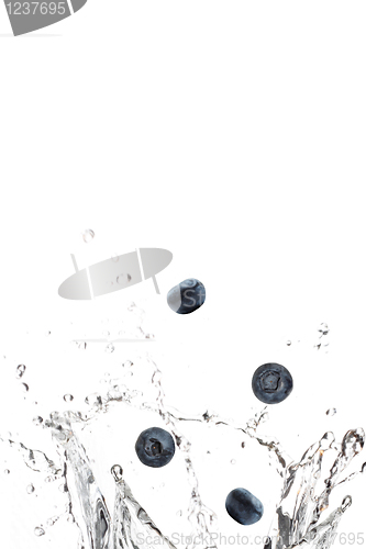 Image of Blueberries