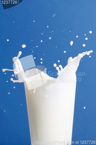 Image of Milk