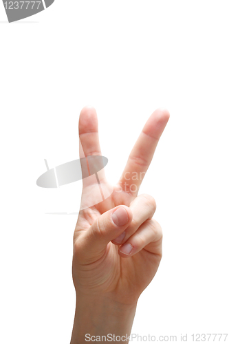 Image of Peace sign