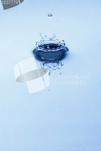 Image of Water crown