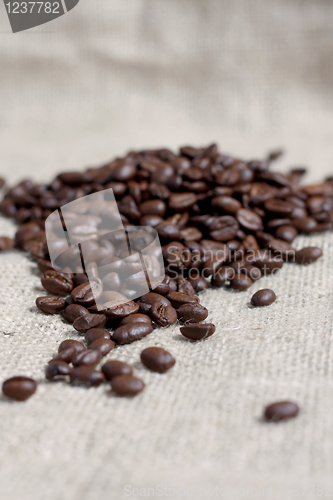 Image of Coffee beans