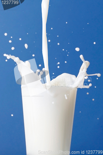 Image of Milk