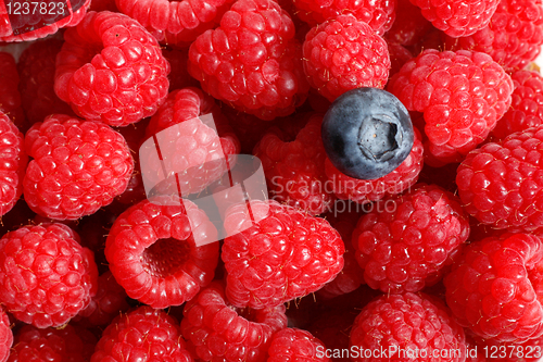 Image of Fruit