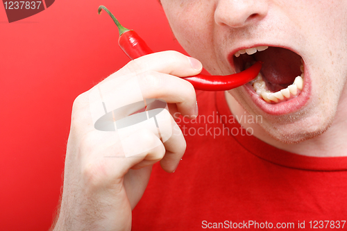 Image of Eating chili pepper