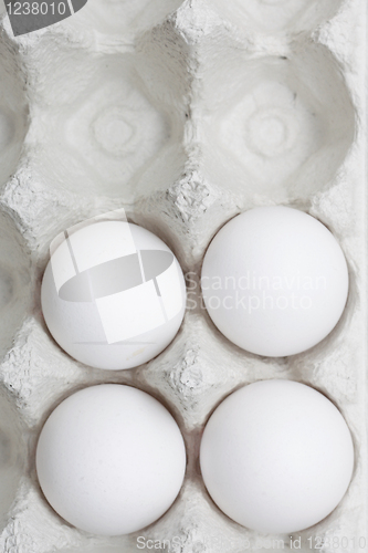 Image of Eggs