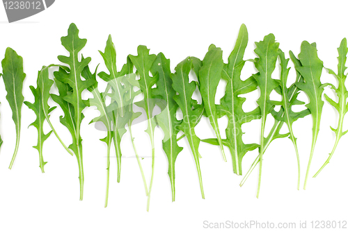 Image of Rocket salad