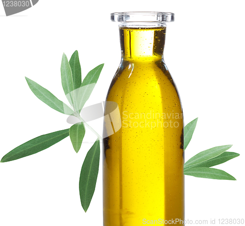 Image of Olive oil