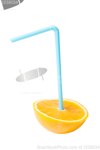 Image of Orange Juicy