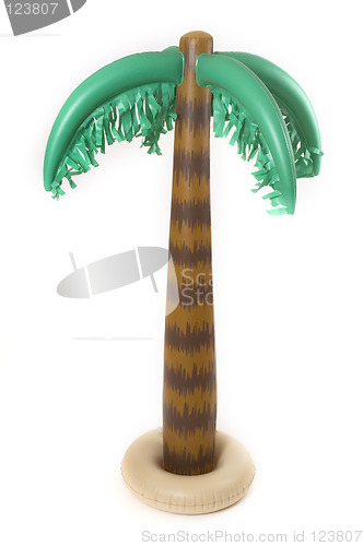 Image of palm tree