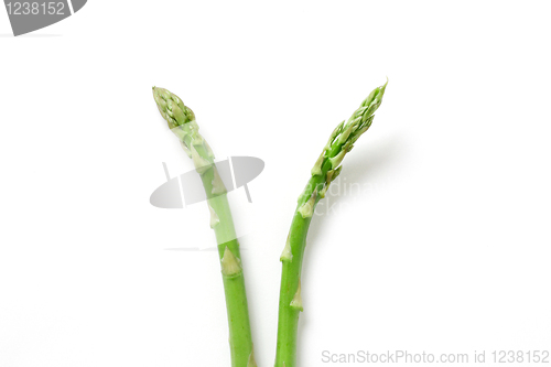 Image of Asparagus