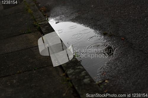 Image of Puddle