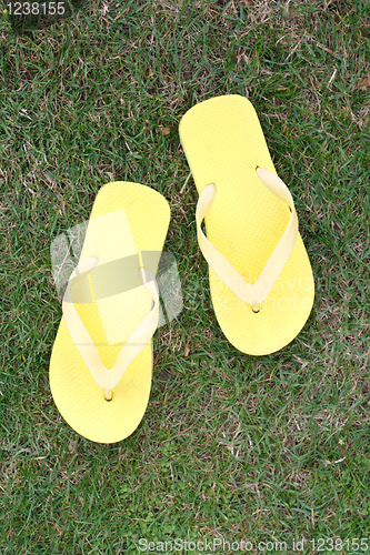 Image of Slippers