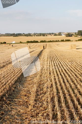 Image of Farming