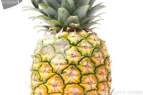 Image of Pineapple