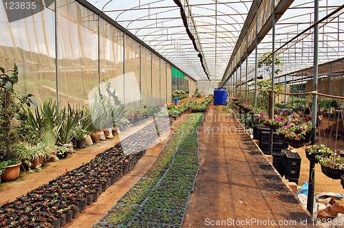 Image of Greenhouse