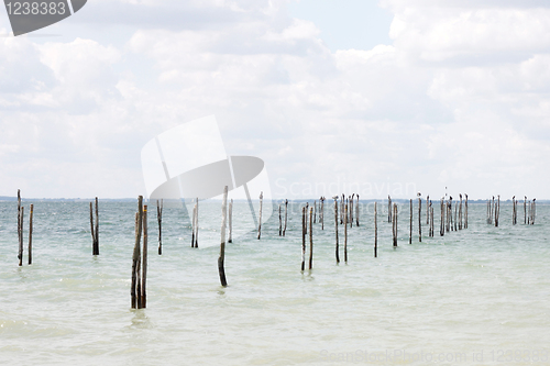 Image of Sea