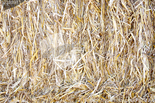 Image of Bale of straw