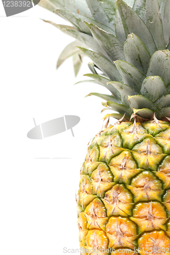 Image of Pineapple