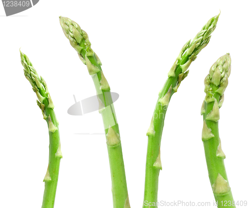 Image of Asparagus